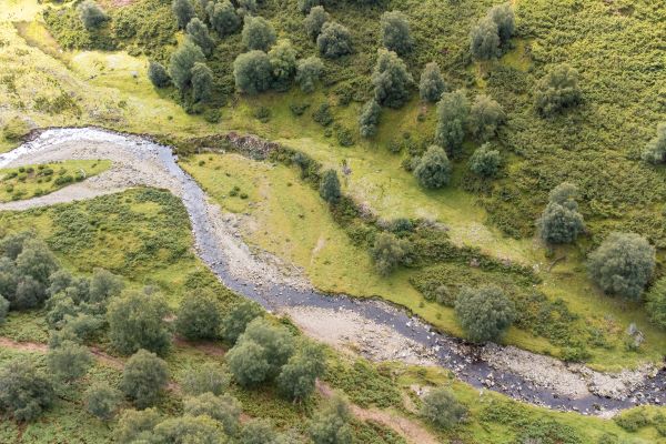 A picture of an area of the River Spey